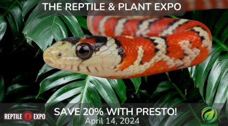 Reptile and Plant Expo poster