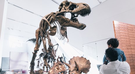 Un père et son fils contemplant un squelette de T-Rex au Musée royal de l’Ontario.
